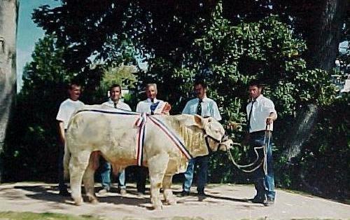 Prestigieux et les membres du gaec au Marrault 2000