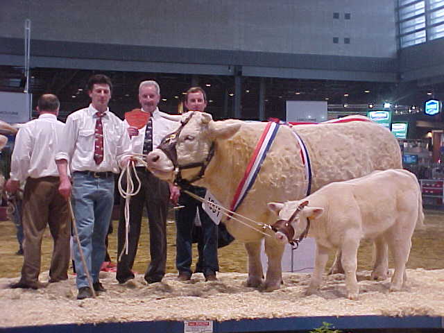 Noblesse et Royale à Paris 2001