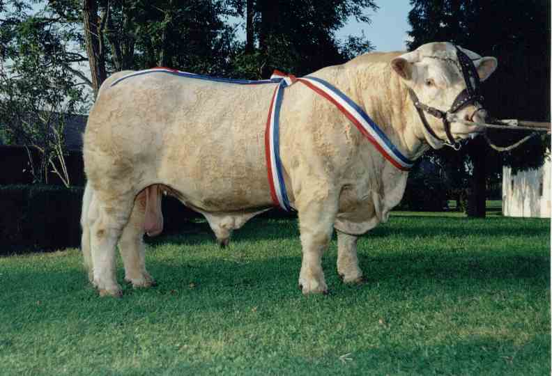 Pedro au Marault 2001