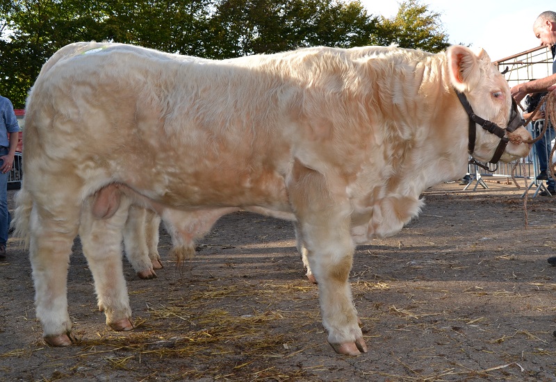 JAMESCOOK4590