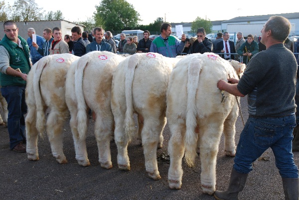 1er Prix ensemble mles