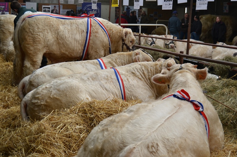 SEMUR 2012