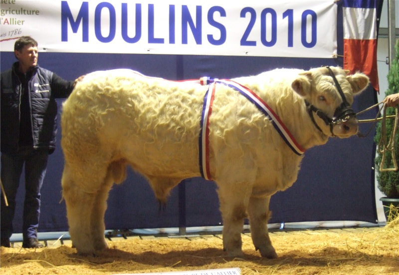 Féodal prix de la Fédération