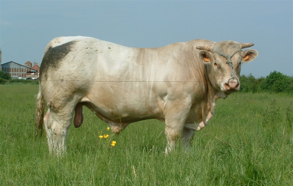 mai 2005